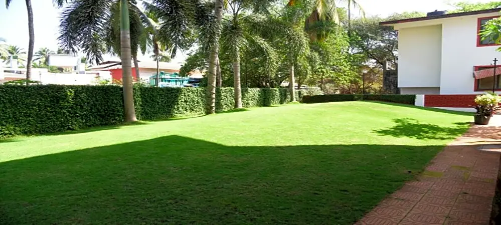 Childrens Play Garden